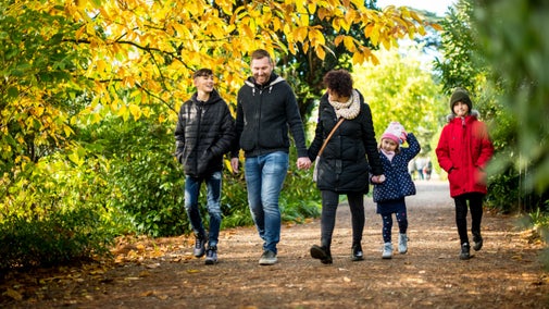 Family walking towards camera along path flanked by autumn trees